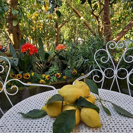 Il Limoneto Di Laura Будинок відпочинку